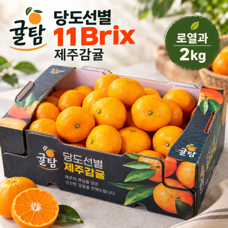 귤담 당도선별 11Brix 제주 감귤 2kg 로열과